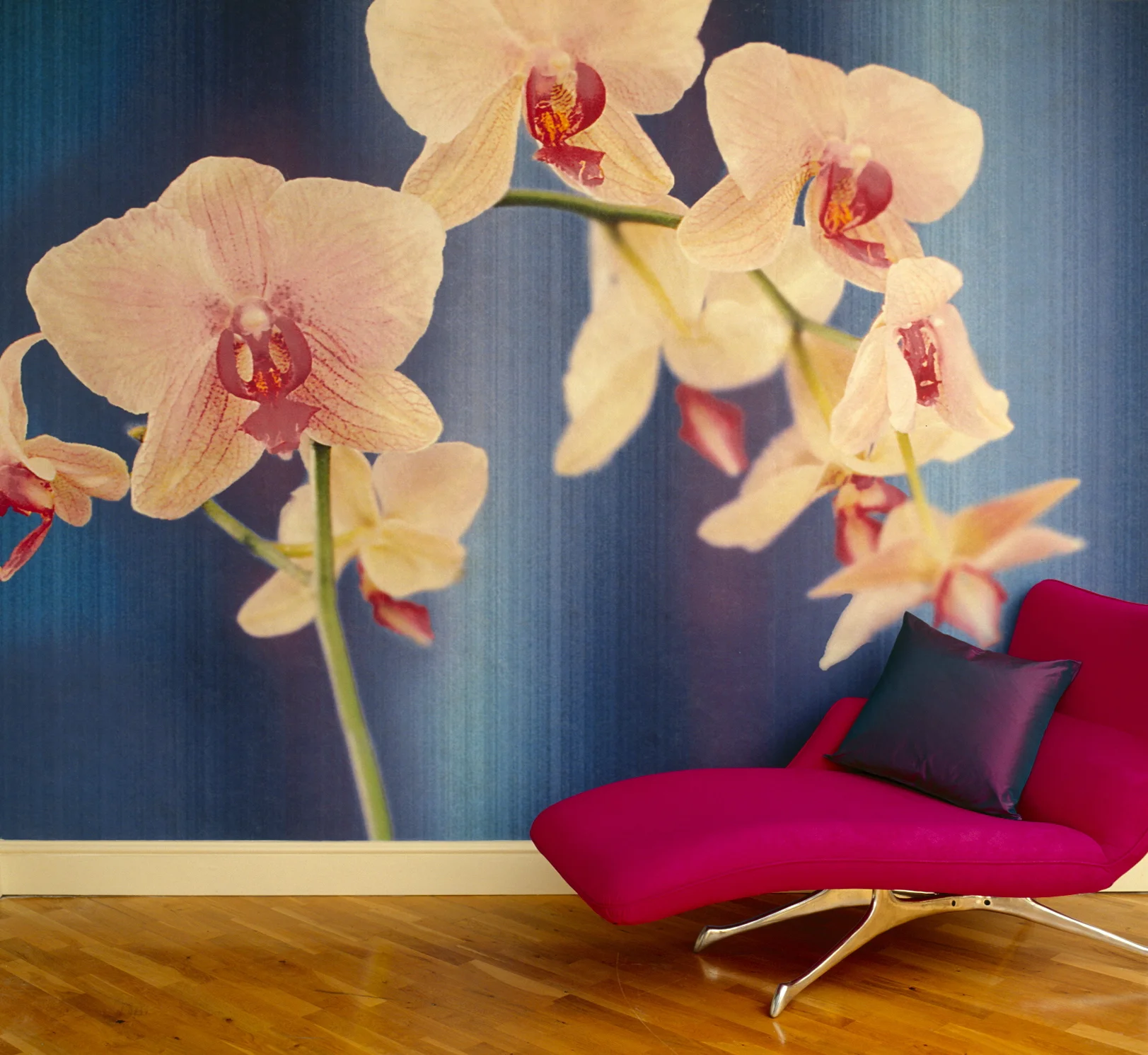 Magenta Orchid Room Set.jpg