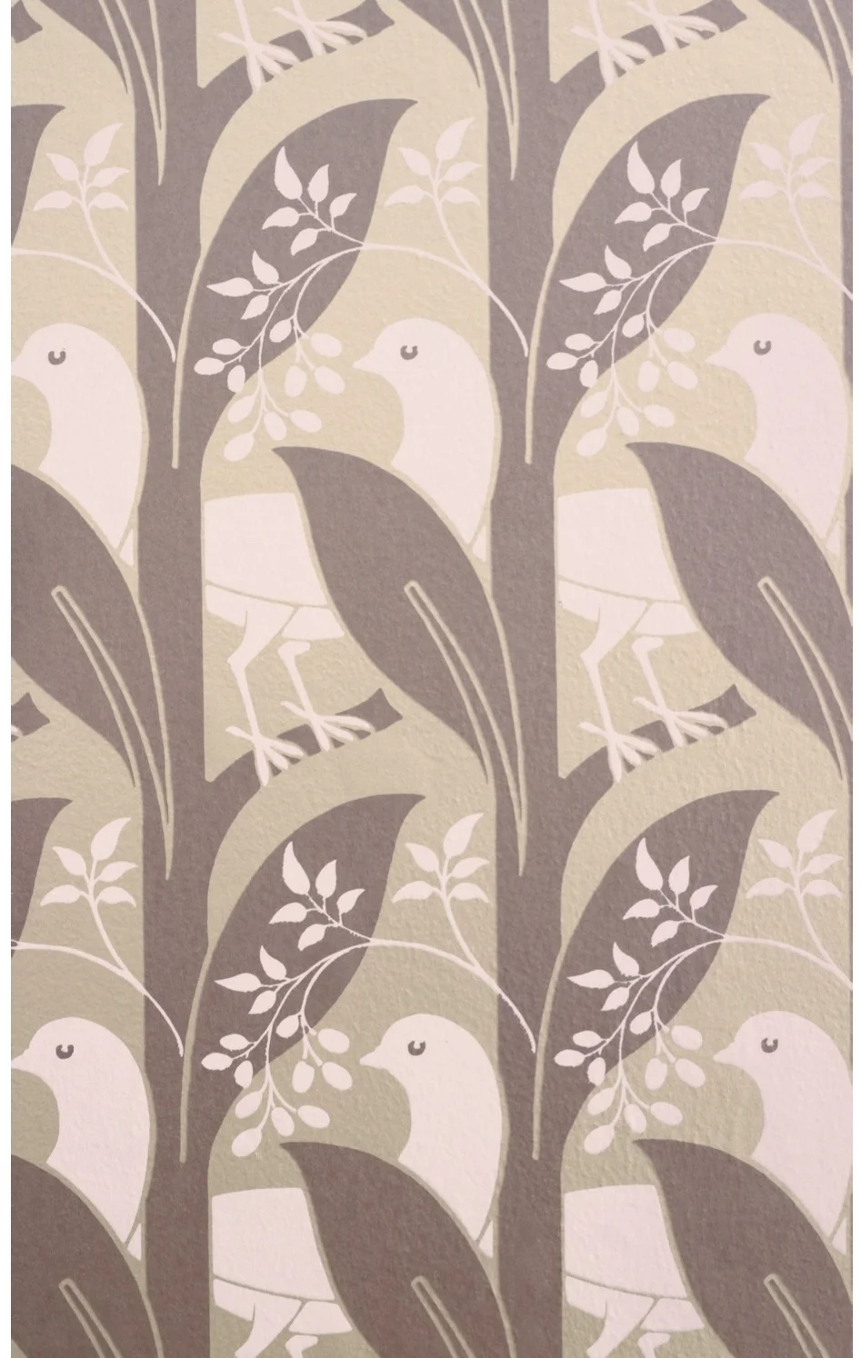 doves 2.jpg