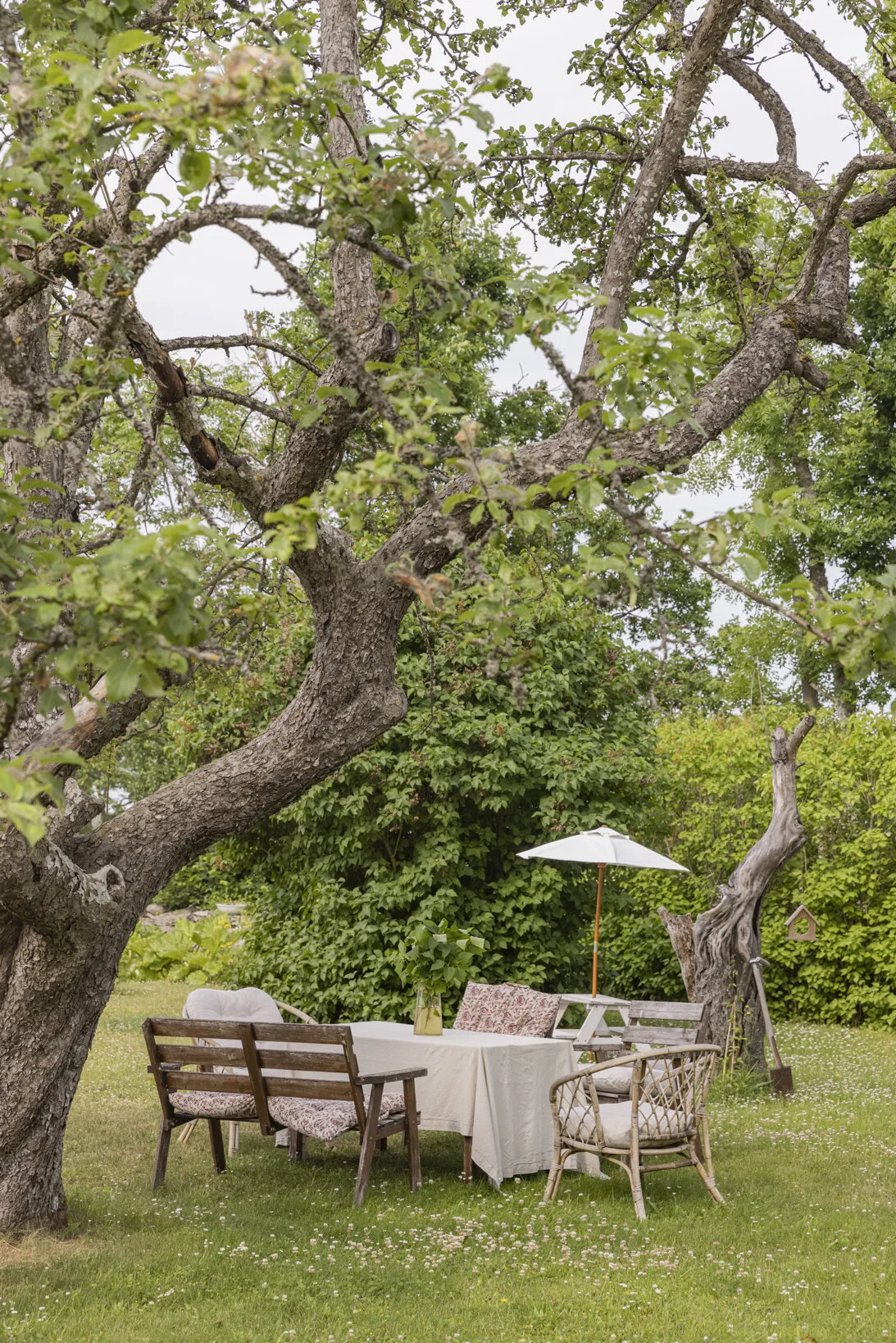 gotland_NR6A5577.jpg