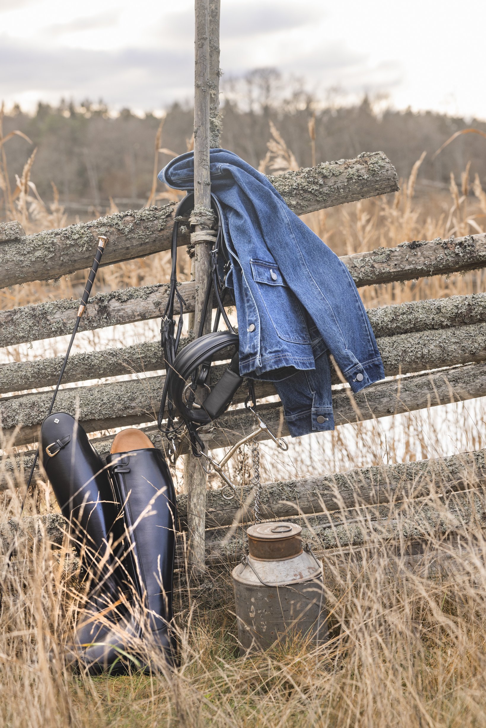 horse_0219.JPG