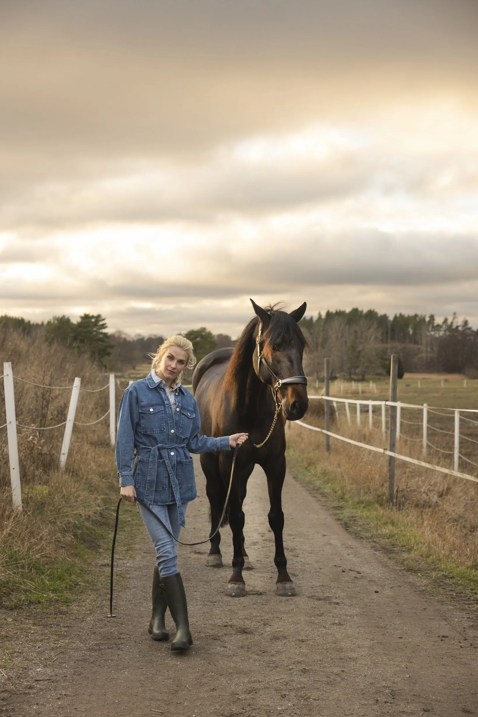 horse_1073.JPG