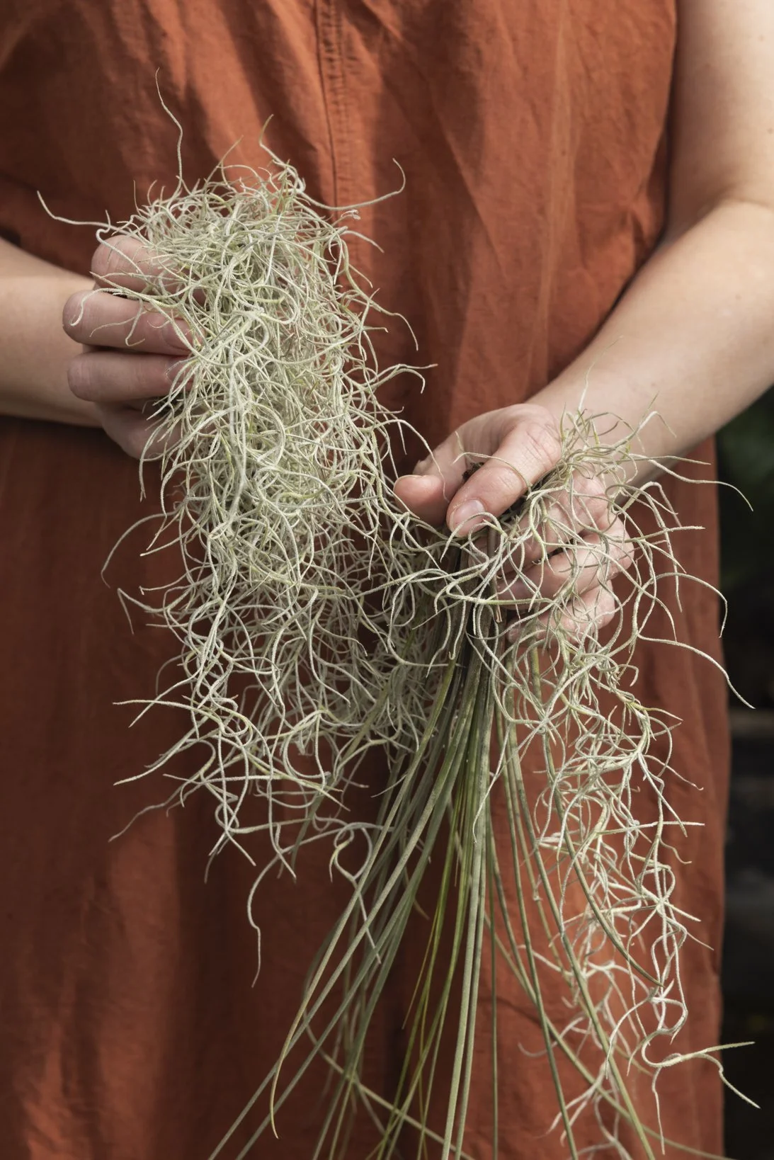 skiss_airplants_NR6A0809.JPG