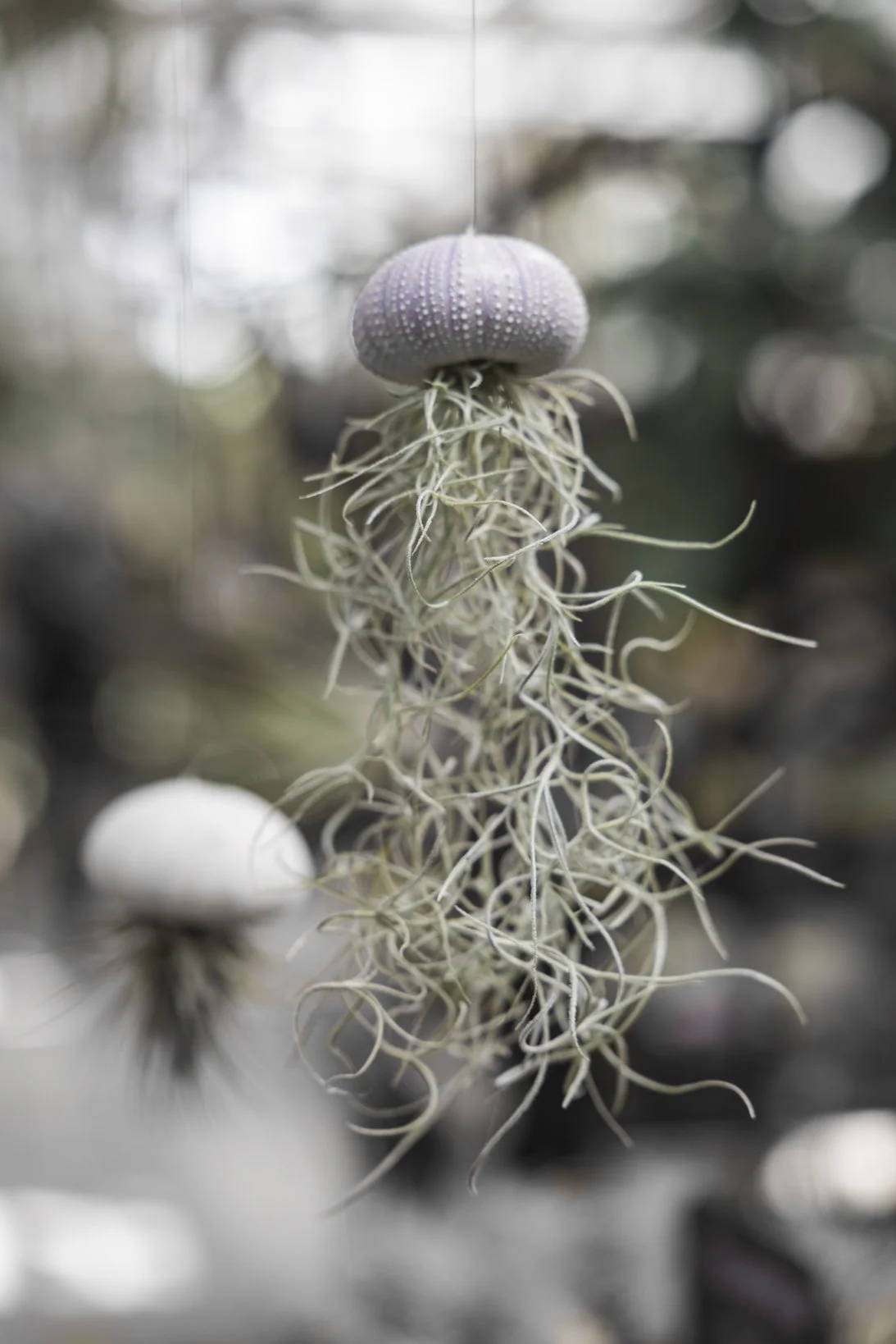 skiss_airplants_NR6A1308.JPG