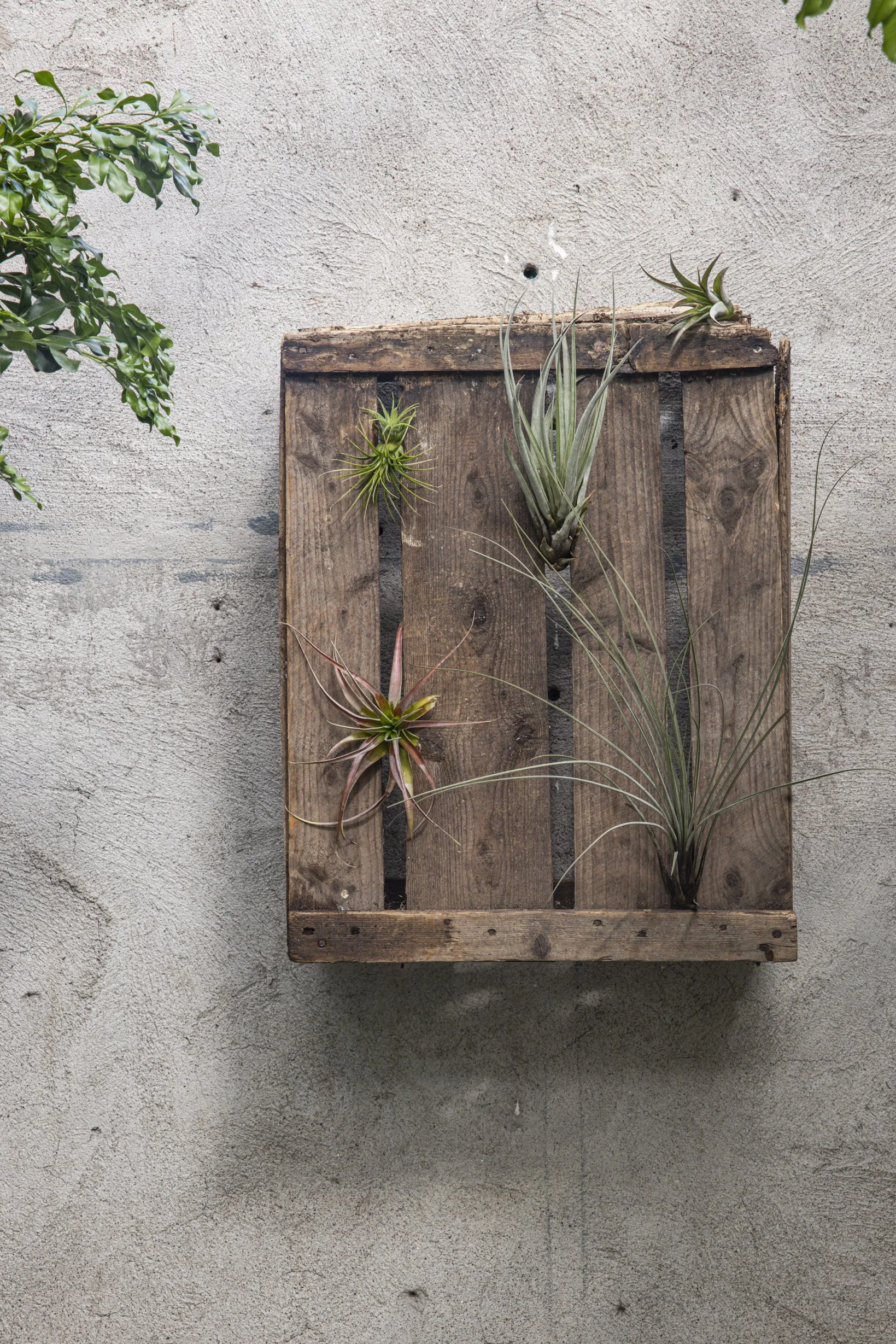 skiss_airplants_NR6A0771.JPG