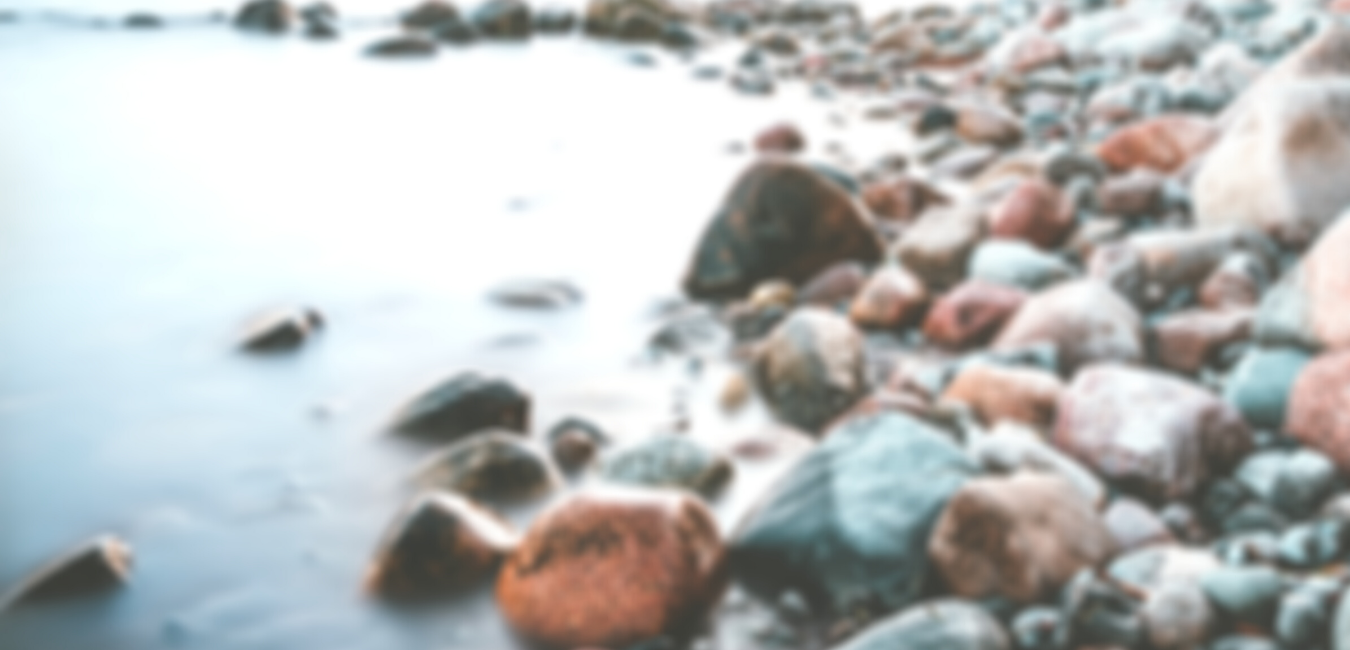 Untitled design (1).png