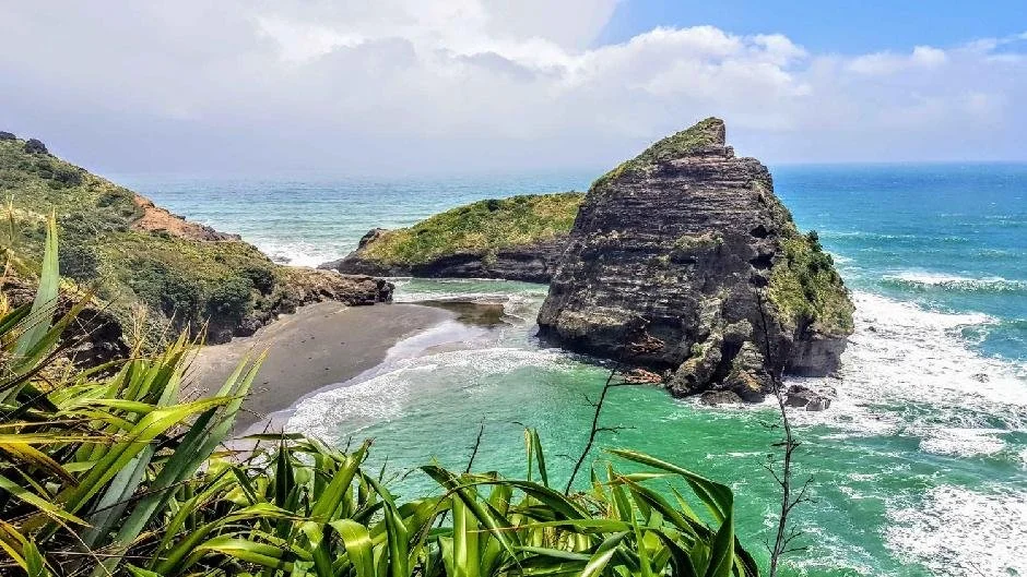 6583_image1_PQFZ_piha foto grande.jpg