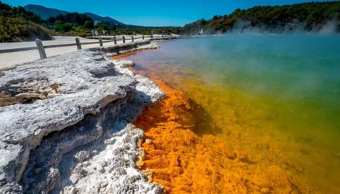 Shuttle-Wai-o-Tapu_1.jpg