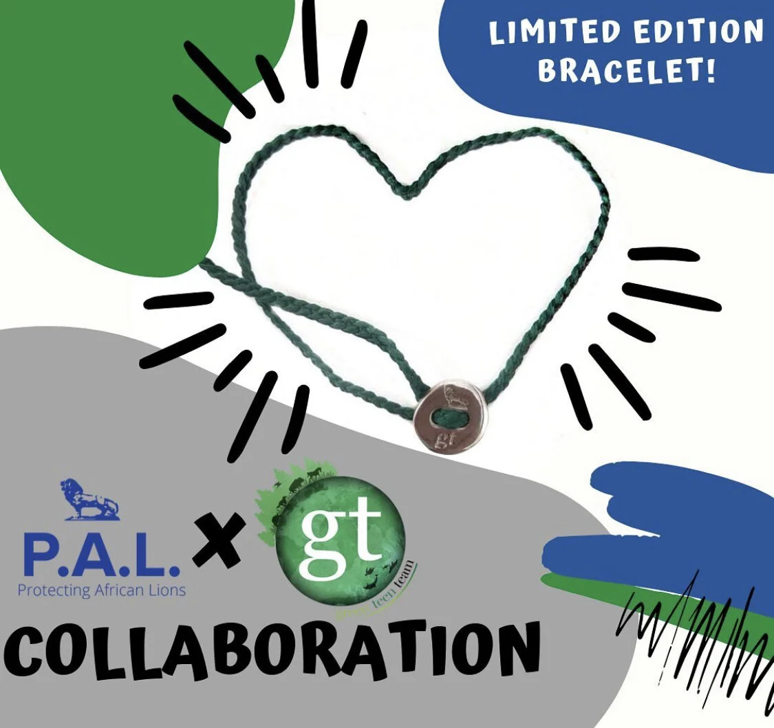 LIMITED EDITION PAL x GTT BRACELET