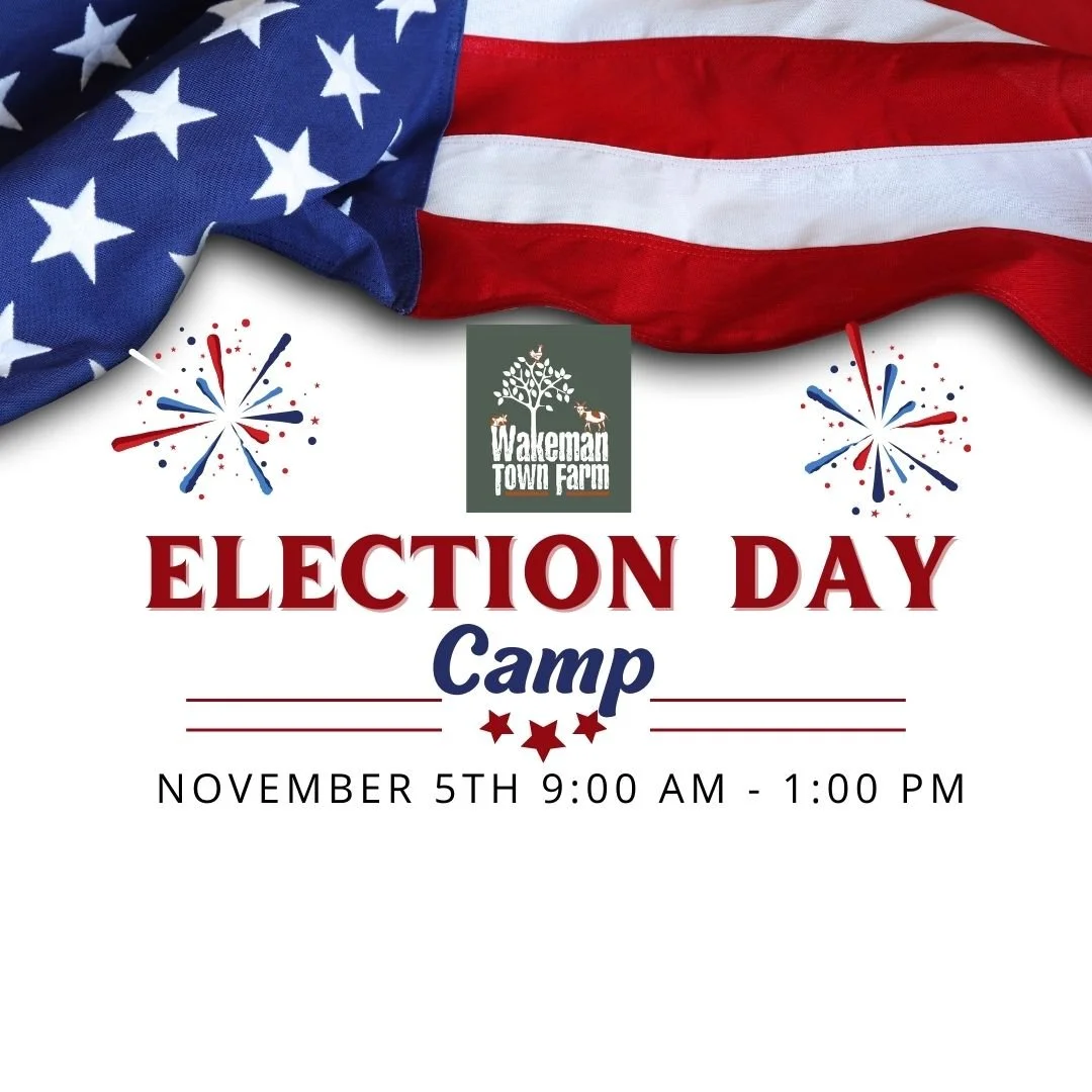 Kids Election Day Camp 11.5 — Wakeman Town Farm