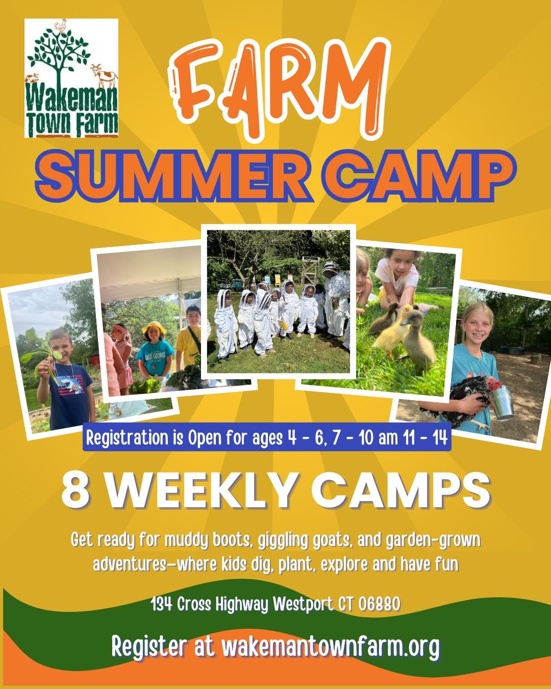 Summer Camp 2026 Promo.jpg