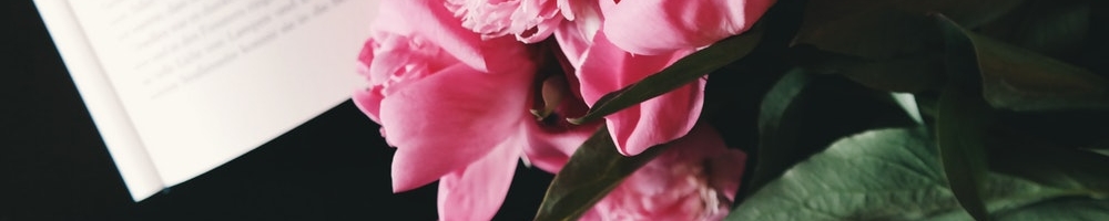peonies.jpg