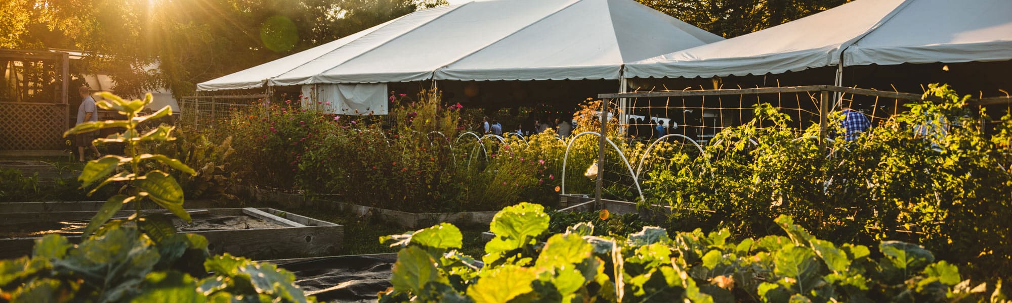 Wakeman Town Farm A community farm with heart and soul