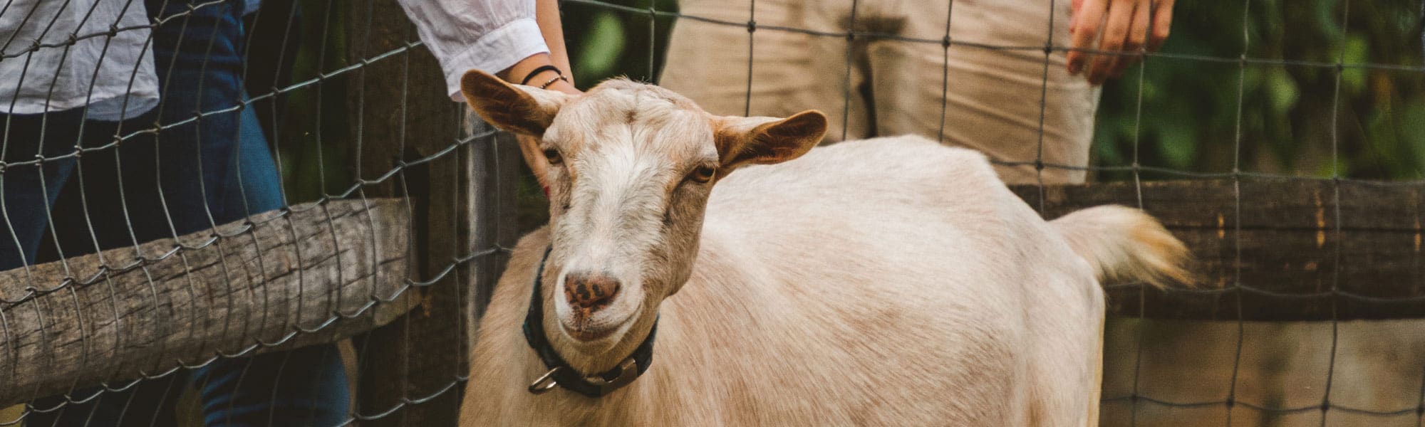 Visit Us We know the true meaning of a field trip! Learn More