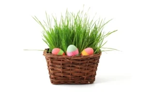 EggStravaganza Egg Hunt