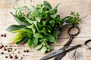 iStock_27239293_MEDIUM-e1470968403891.jpeg