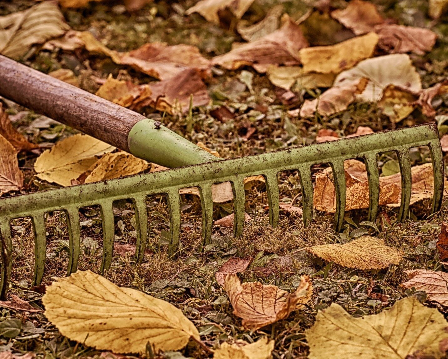 autumn-3802565_1920+put+to+bed+web.jpg