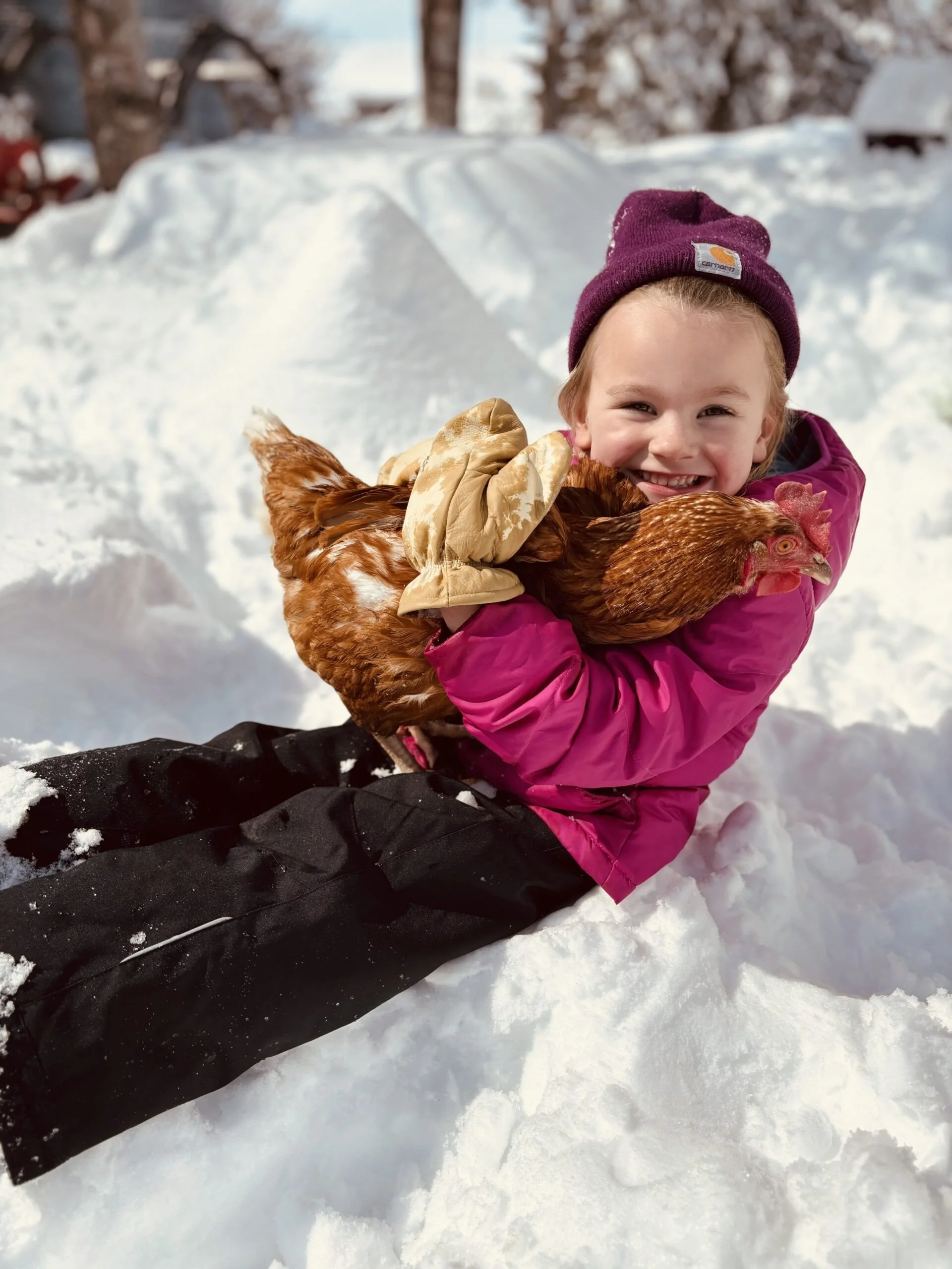 Girl with Hen.jpg