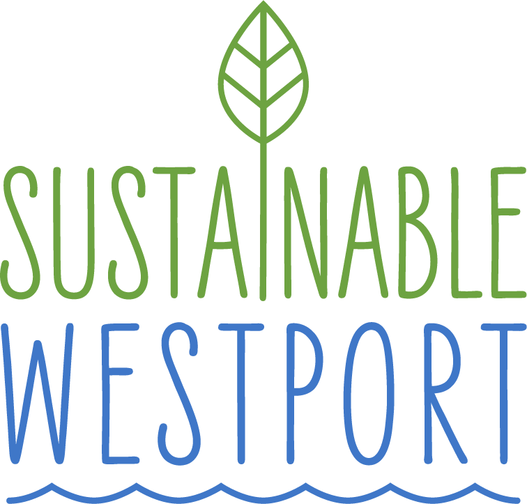 SW logo RGB (4).png
