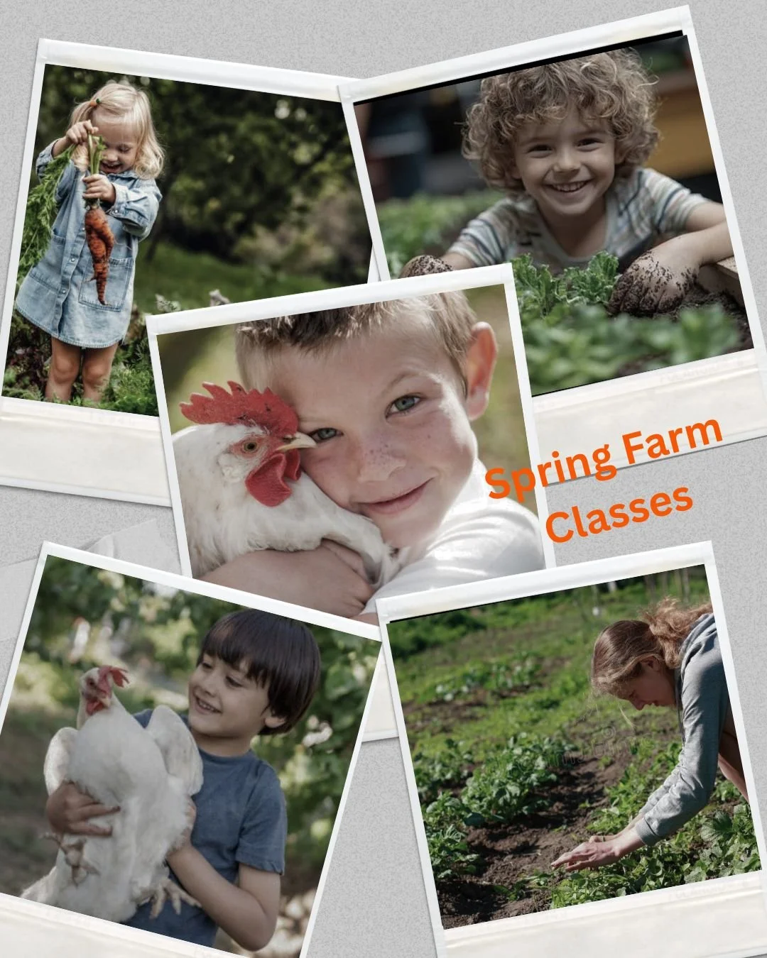 Spring Farm Classes.jpg