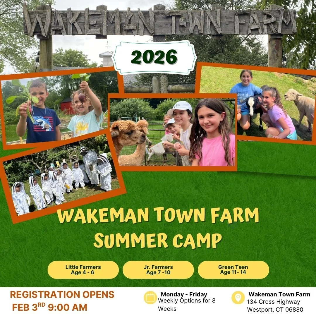 2026 Summer Camp.jpg