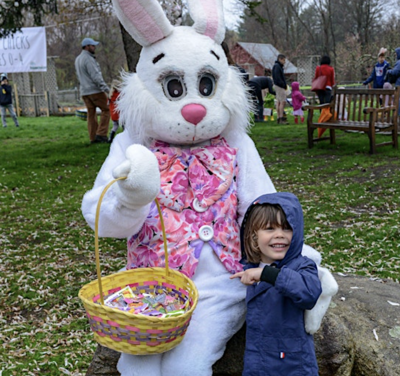 Screenshot 2026-03-03 at 4.53.39 PM.png