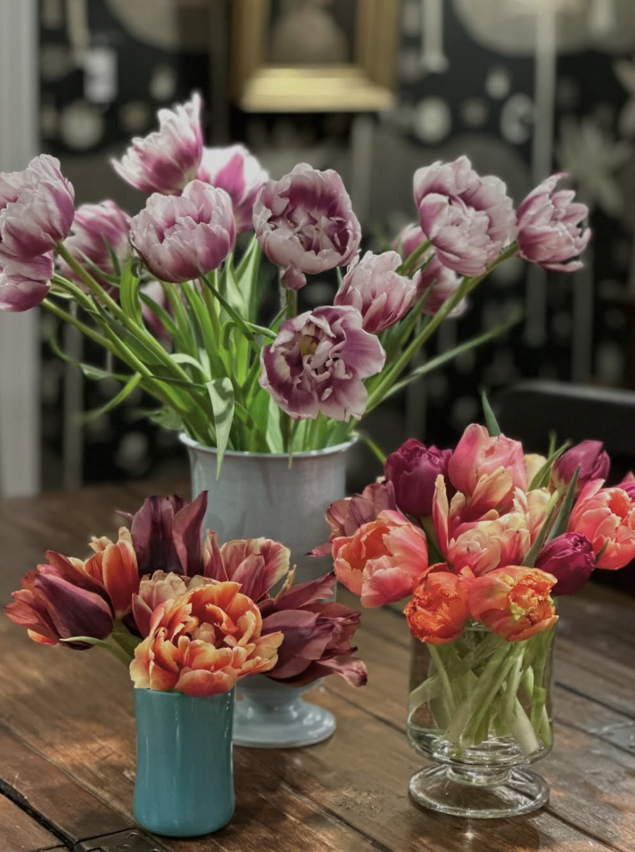 Screenshot 2026-02-13 at 7.41.27 AM.png