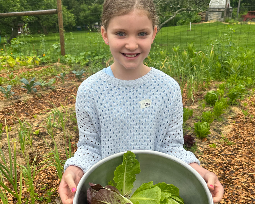 Screenshot 2026-02-18 at 8.39.26 AM.png