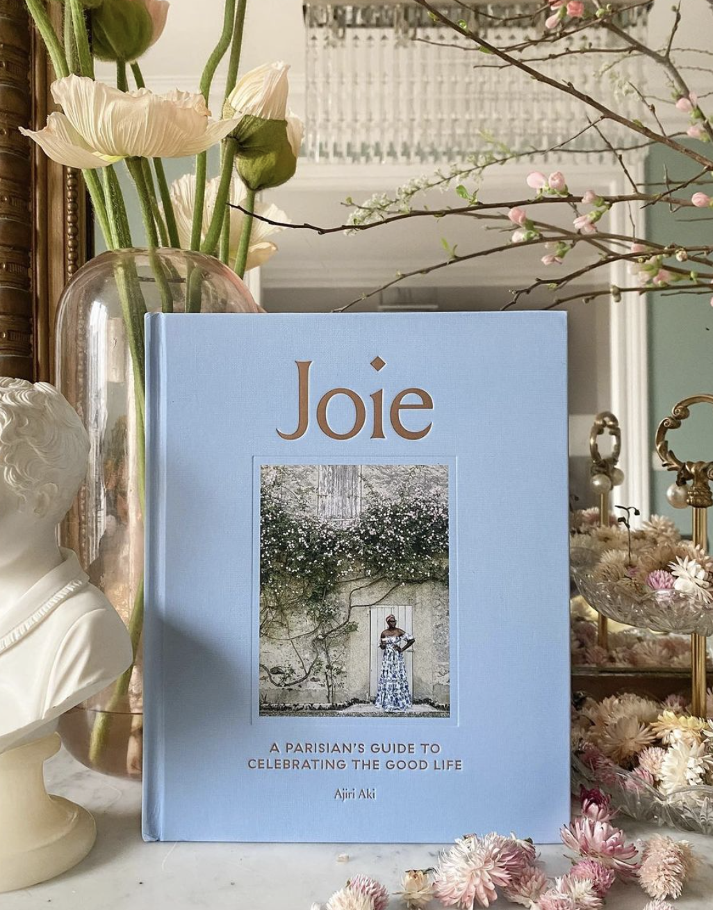 Ajiri's book, Joie