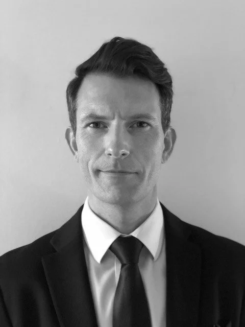 Garry Mannion, Consultant