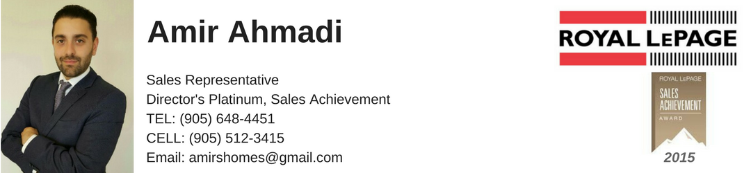 testAmir Ahmadi.png