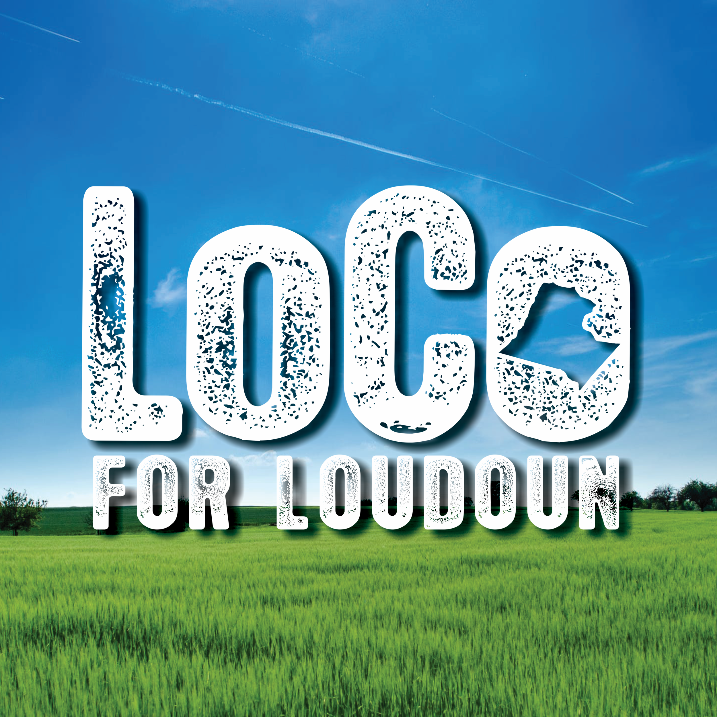 LoCo for Loudon.png