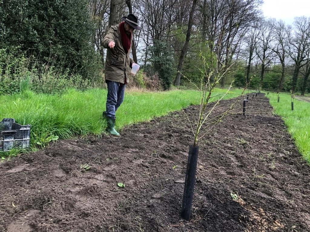 Dieuwer Zaait 2023-05-03 at 08.22.00.jpeg