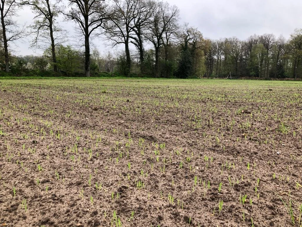 2023-05-03 at 08.22.00.jpeg