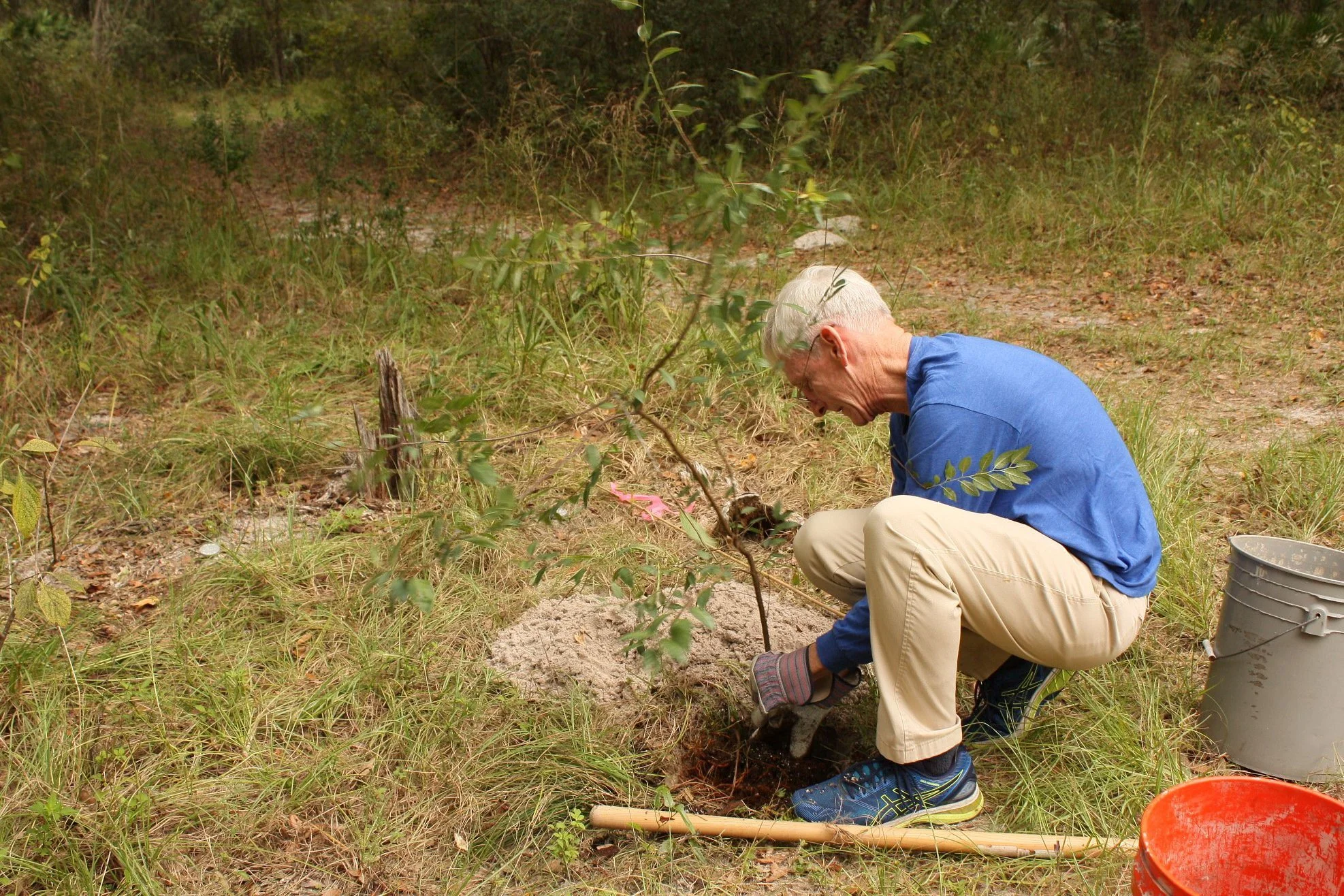 Community Planting Day (Woods/Forest)