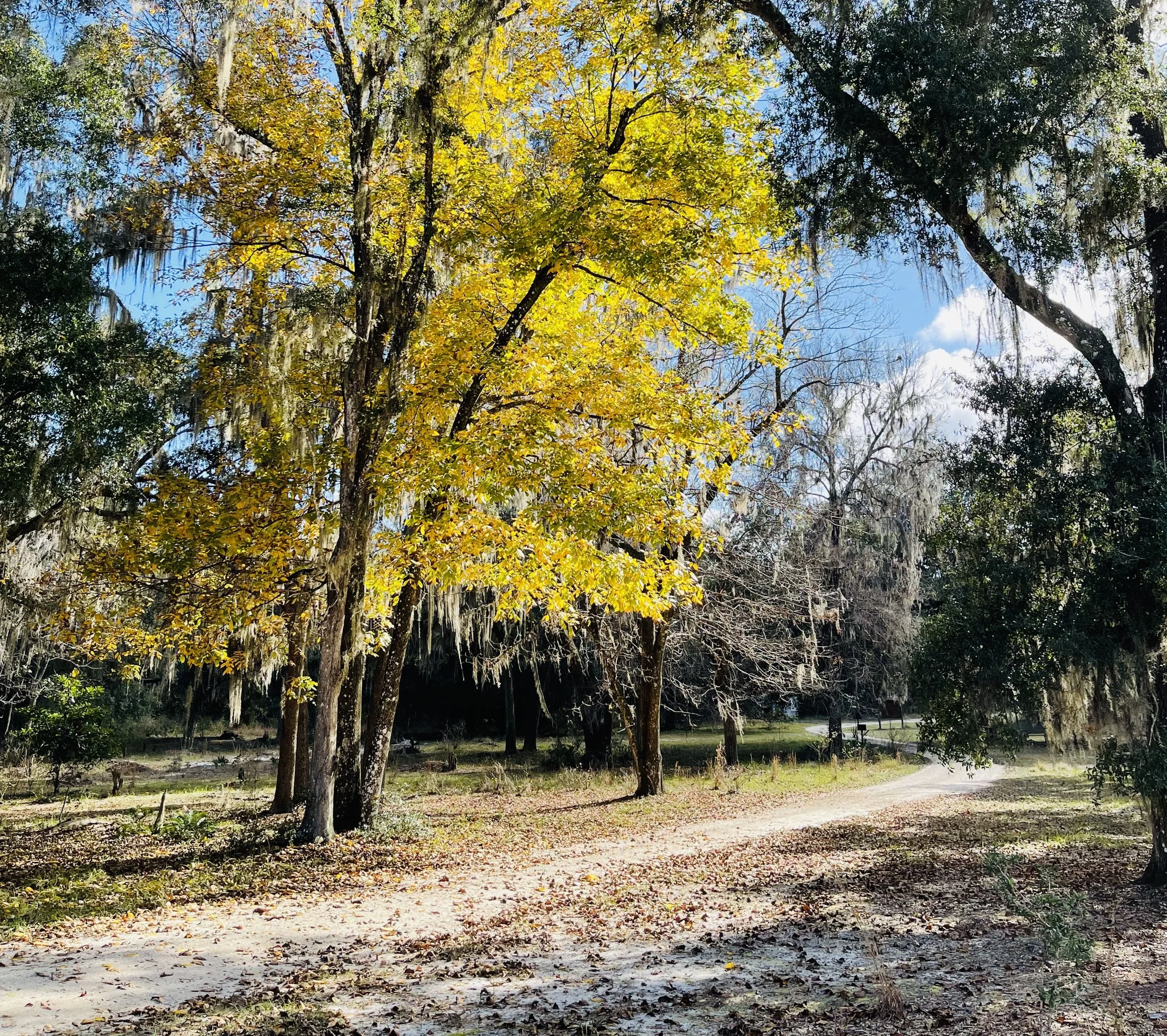 12th Annual Memorial Celebration