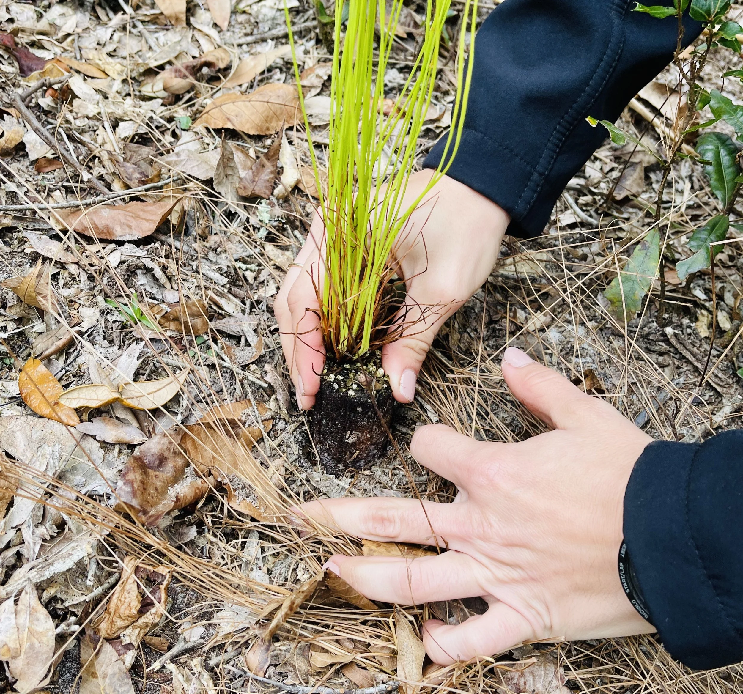 Prairie Creek Conservation Cemetery’s Annual Fall Planting Day