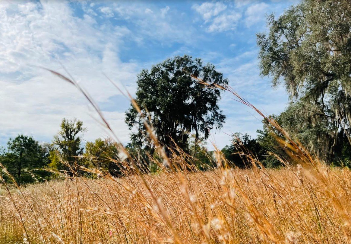   Prairie Creek Conservation Cemetery    The Natural Choice   352-336-5910 