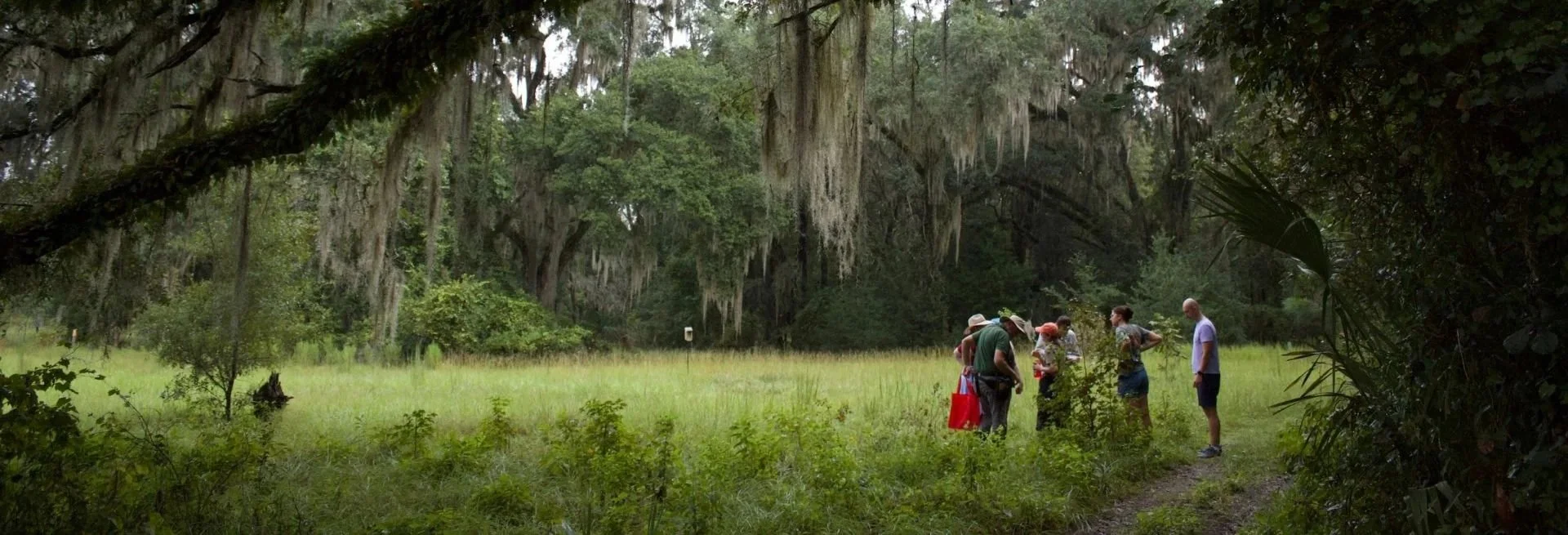 Stretch &amp; Sketch