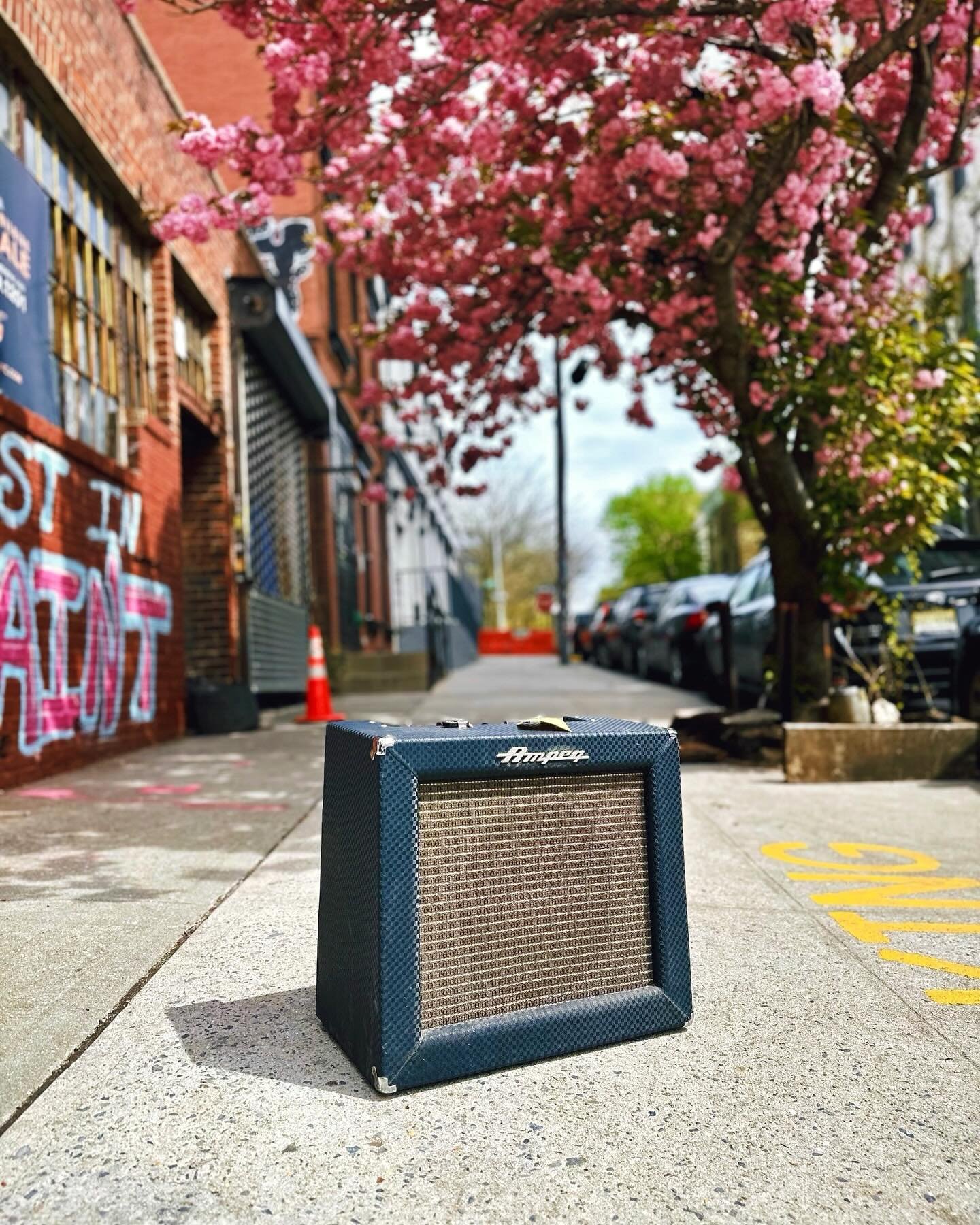 Spring is here and so is this 1964 Ampeg Reverberocket R-12R. This Ampeg is in great condition and it had very little work done to it over the years. I had to change some caps and change a 6SL7 preamp tube and now this amp is ready to go!