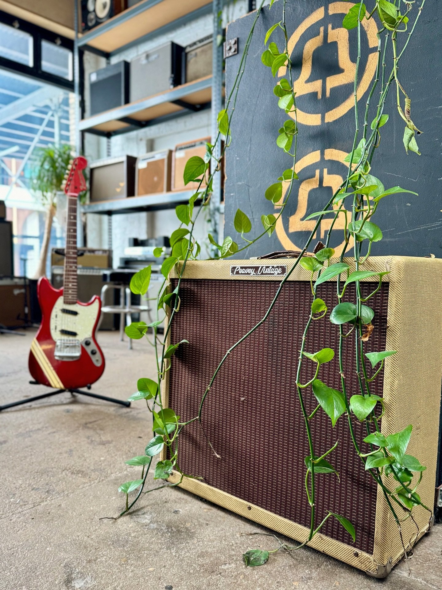 New YouTube video up on my channel. I tackle a rare Peavey with compactron tubes and we discuss these tubes common to televisions. #peaveyamps #peaveyvintage