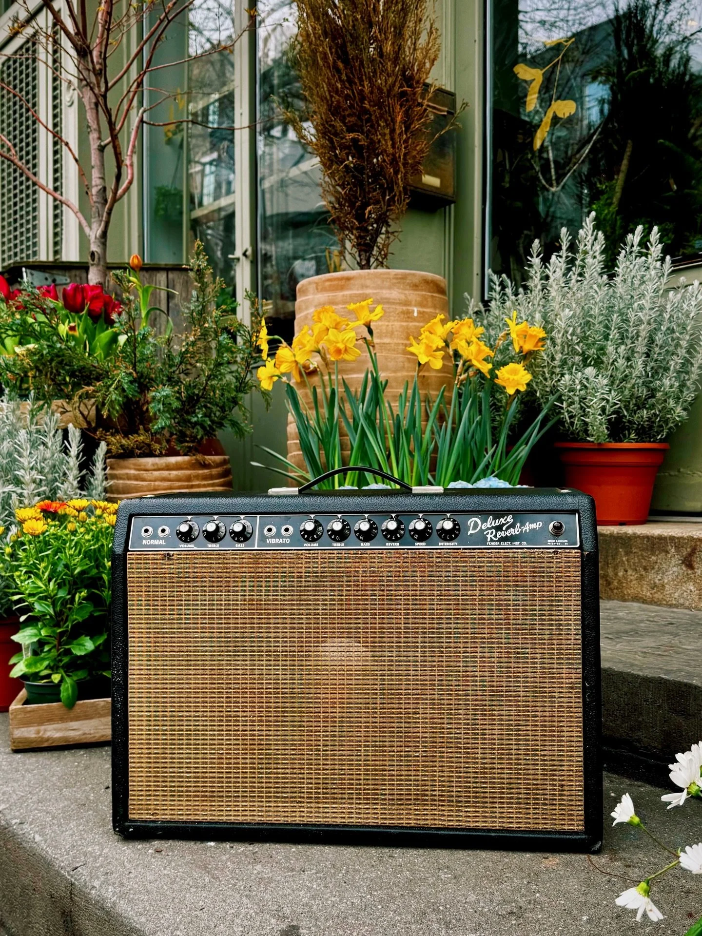 In for 80s mods reversal is this early 64 Deluxe Reverb that needed a lot of work. The filter capacitors under the doghouse were removed and replaced with a Mallory multi can. It had a lot of cold solder joints and messy wiring so I got to take a lit