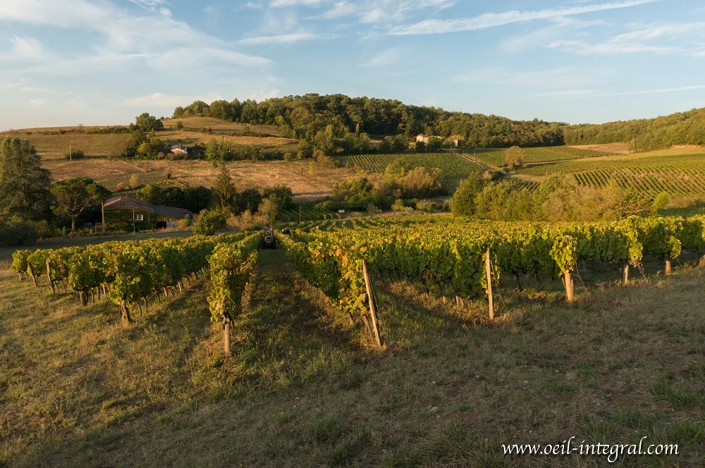 04102016-DSC06018 - copie.jpg