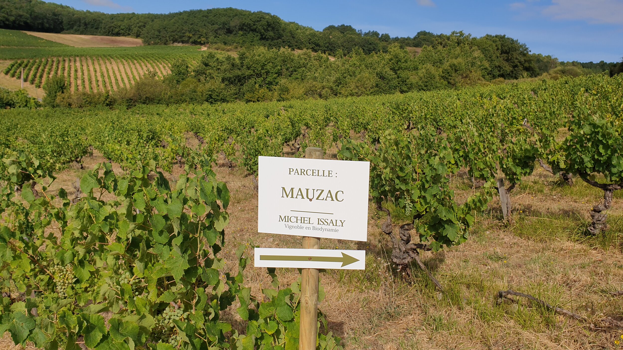 MAUZAC.jpg