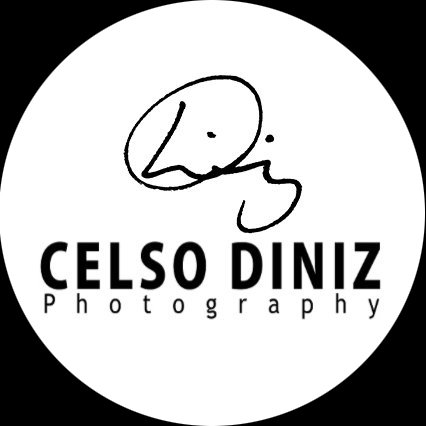 Celso Diniz