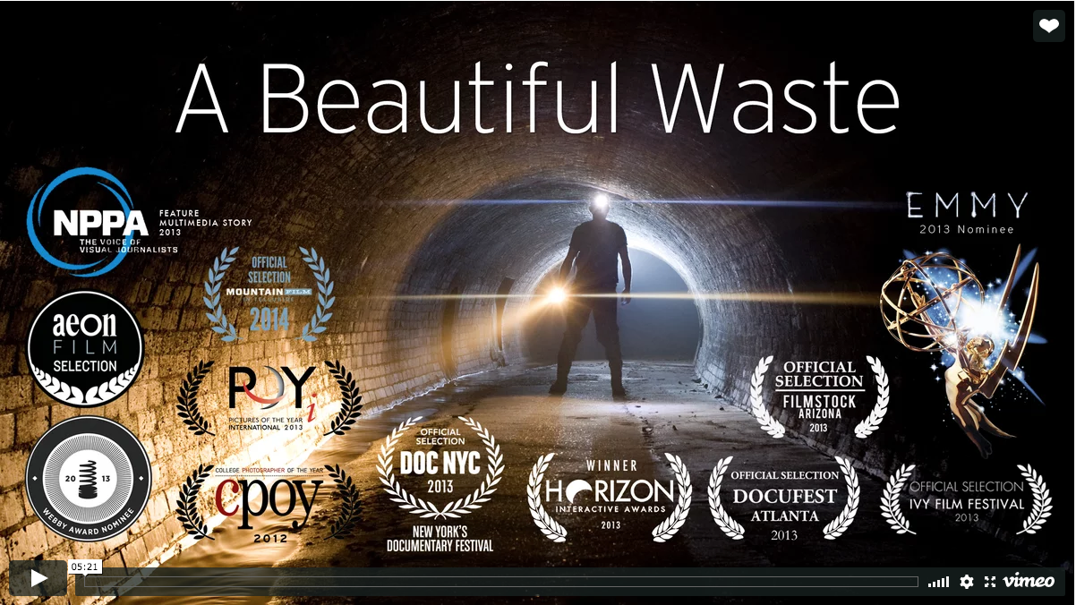 A beautiful waste thumb.png