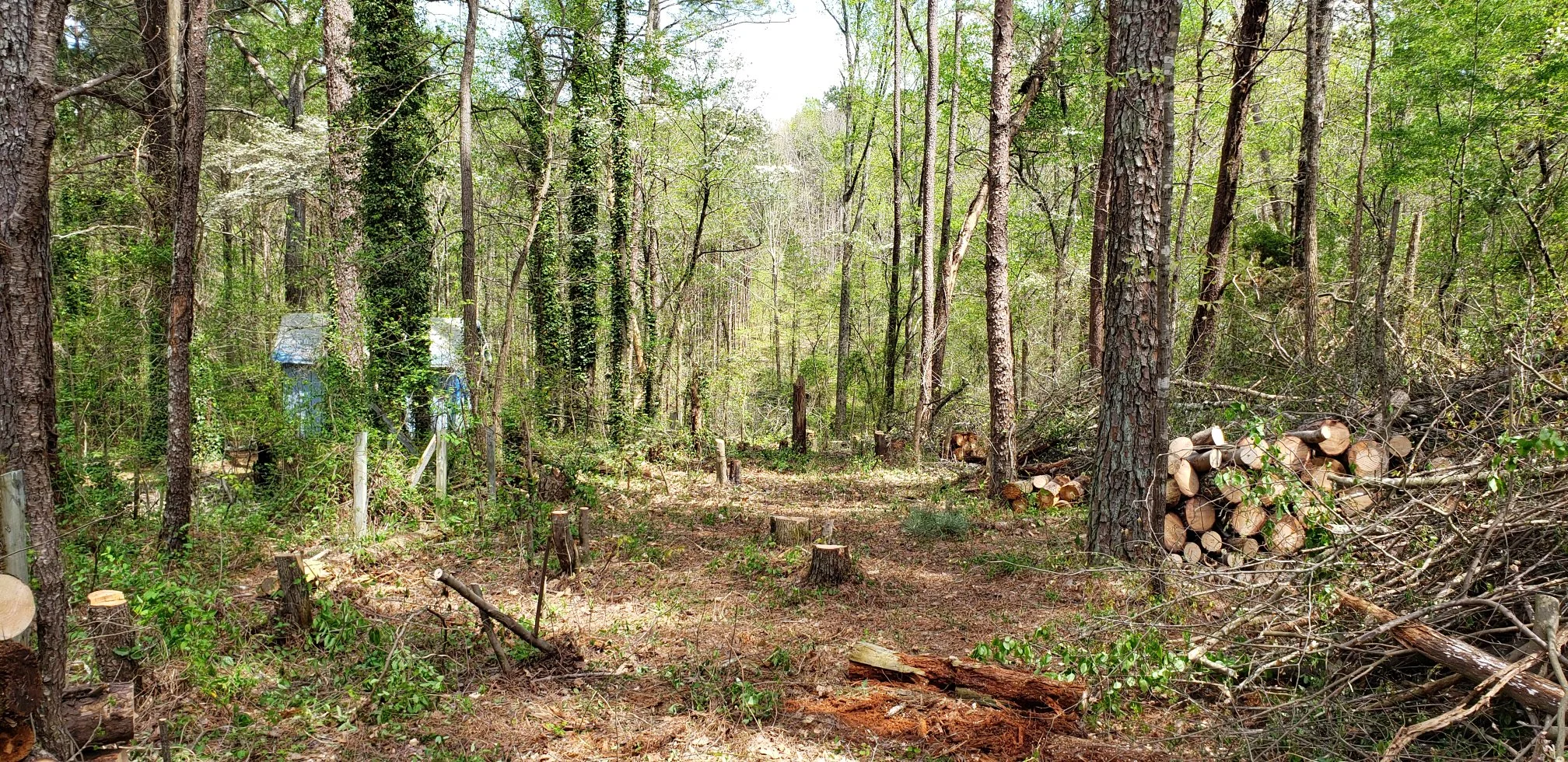 An “After” shot of the site of the future driveway for Alex’s Accessible Home