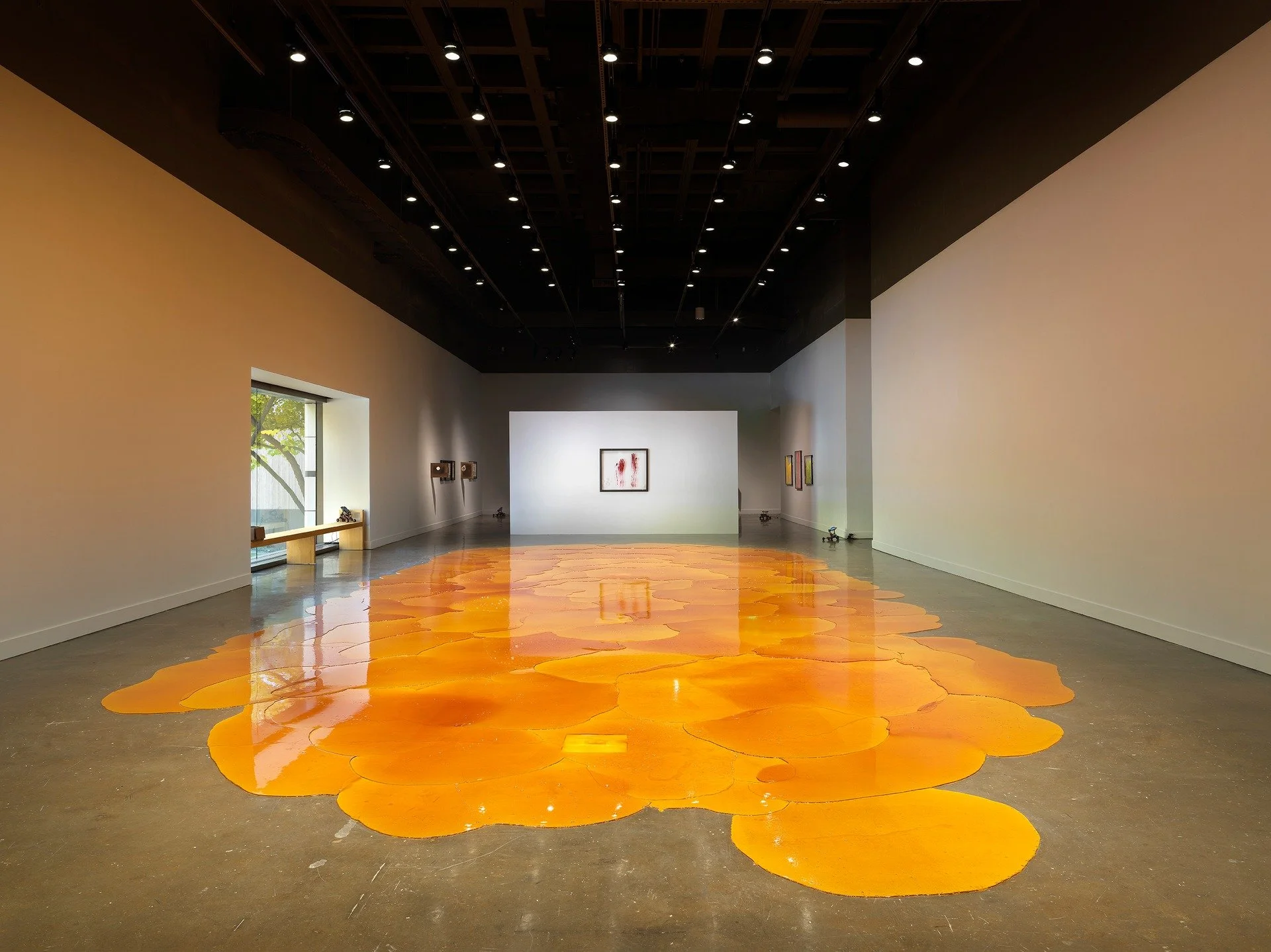 MIT List Visual Arts Center @mitlistarts presents three not-to-miss exhibitions this fall 💥

Goldin+Senneby: Flare-Up: the recent works of Goldin+Senneby, a Stockholm-based artist subject, examine the entanglements of illness, ecology, and the metap