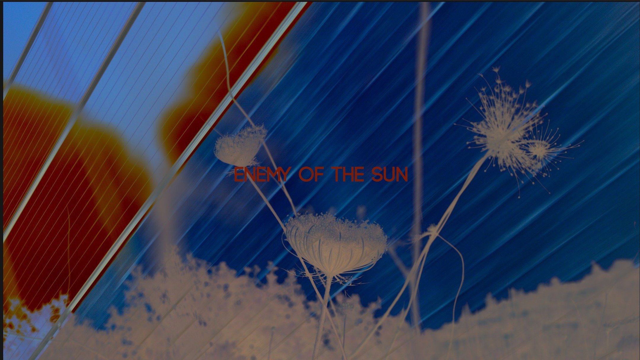 A heartfelt thank you to @CulturedMagazine for featuring The Bell Gallery's @bellgallerybrown current exhibition &mdash; Prisoners of Love: Until the Sun of Freedom &mdash; the newest project by internationally renowned sound, video, and installation