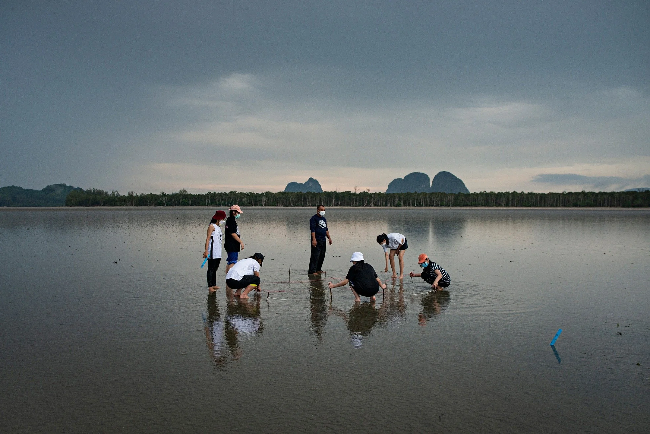 On view at The Current @thecurrentexhibitions through April 10: 

"Symbiosis", a solo exhibition by Italian documentary photographer Giacomo d&rsquo;Orlando. resented at a time when the climate crisis is transforming marine environments and