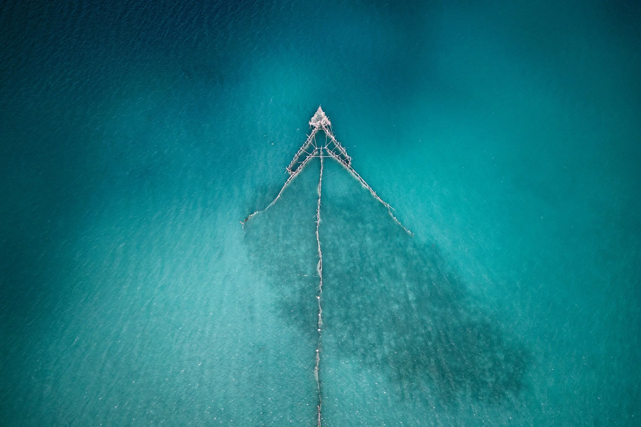 Many thanks to @clotmagazine for a great interview with Giacomo d&rsquo;Orlando @giacomo_dorlando about his solo exhibition "Symbiosis", on view through April 10 at The Current @thecurrentexhibitions in Stowe Vermont. 

"Currently pres